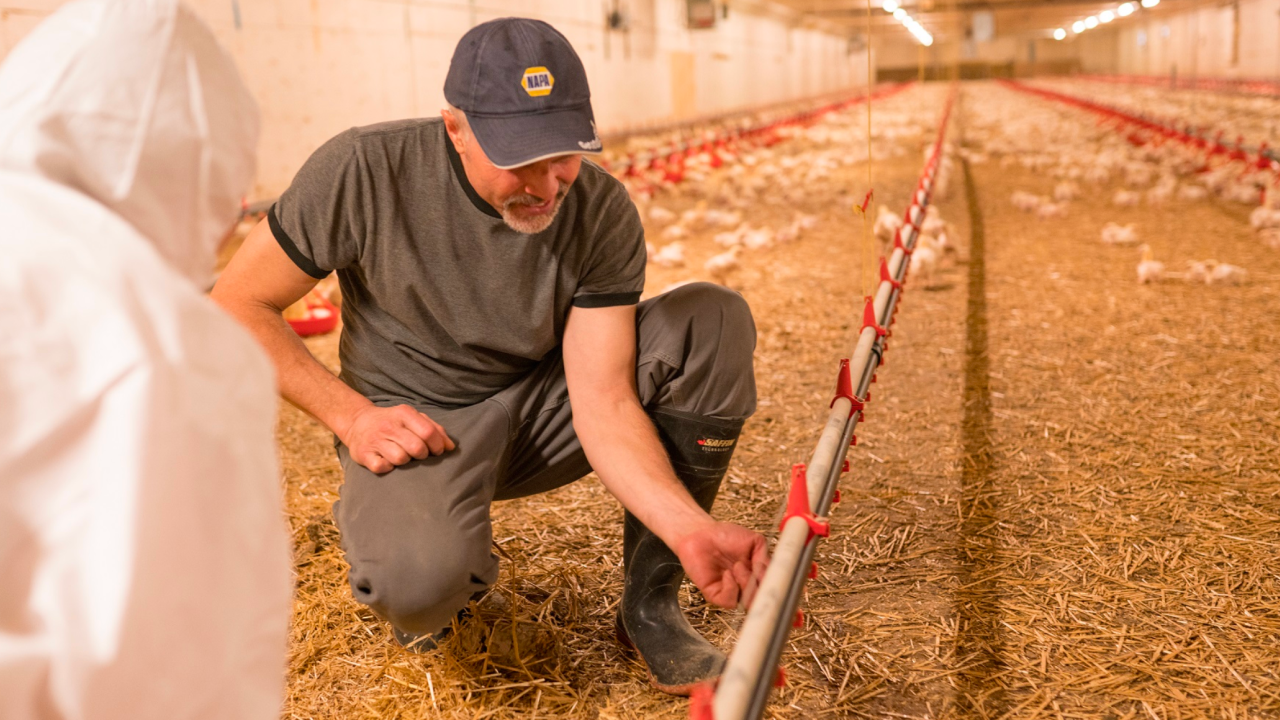 How Chicken Farmers of Canada Built Stronger Media Relations with Cision 