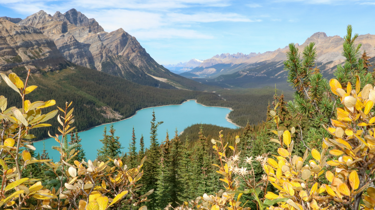 How Nature Conservancy of Canada Grew Media Mentions by 650% with Cision 