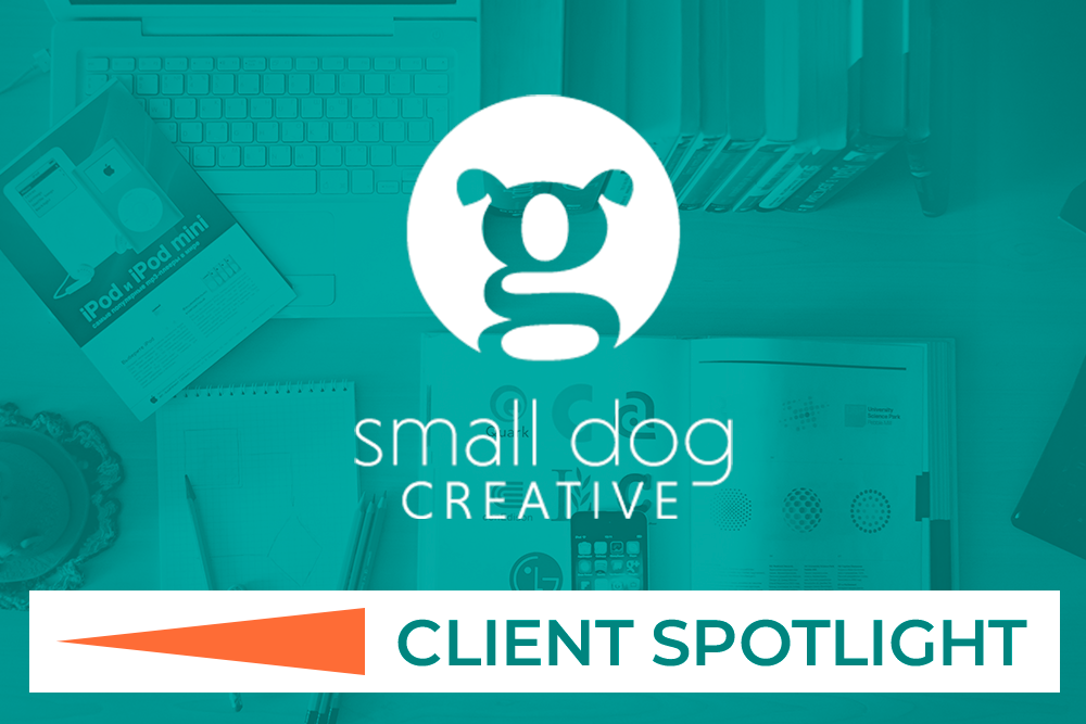 Client Spotlight: Small Dog Creative