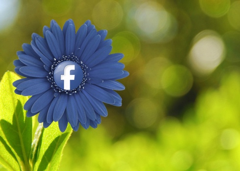 Welche Taktiken setzen weltweit führende Marken auf Facebook ein?